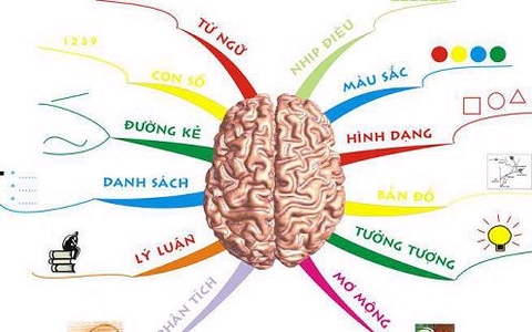 bản đồ bộ não: Xem bộ não siêu việt của bạn bằng \