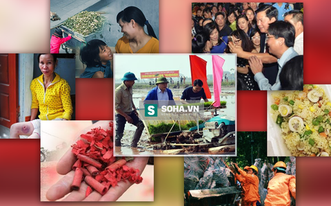Hình ảnh 3d Lập Thể Chữ Nghệ Thuật C4d2024 Tết Bính Thân PNG Miễn Phí Tải  Về - Lovepik