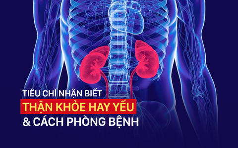 3. Dấu Hiệu Nhận Biết Thận Yếu