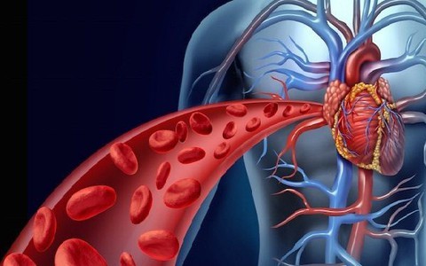 biến chứng do lưu thông máu kém gây ra : Tập 10 phút/ngày để thông mạch máu  toàn cơ thể: Đơn giản để phòng đột quỵ, nhồi máu cơ tim