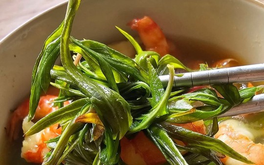 Việt Nam có loại "rau thượng hạng": Cực ít thuốc trừ sâu, vài nghìn cả bó nhưng nhiều lợi ích sức khỏe đến giật mình