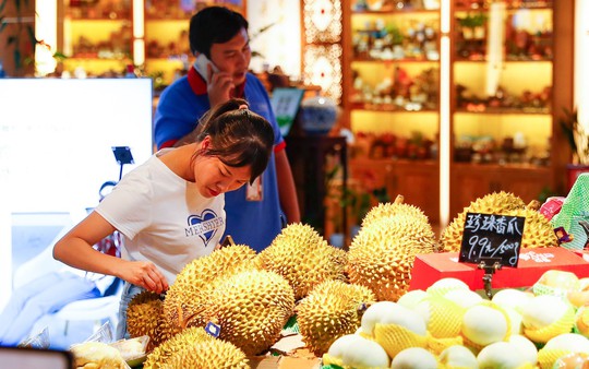 Thị trường 'trái cây vua' tại Trung Quốc: Khởi đầu từ số 0, Việt Nam giành thị phần từ tay Thái Lan
