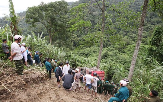 Xe lao xuống vực: Gốc cây cổ thụ đã cứu mạng 41 người?