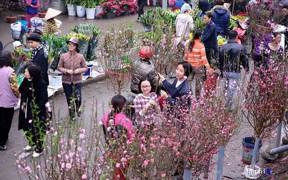 Lịch nghỉ Tết âm lịch Bính Ngọ 2026