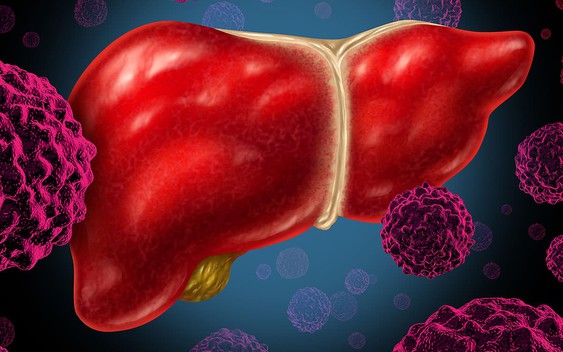 Phát hiện 'thủ phạm' âm thầm 'nuôi' tế bào ung thư trong gan: Không phải rượu bia hay thuốc lá