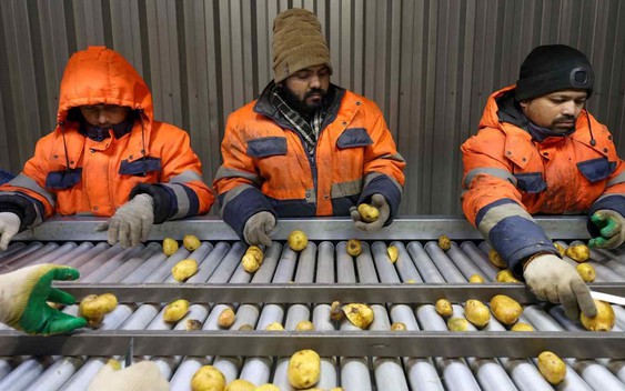 Nền kinh tế vừa soán ngôi Nhật Bản đang cứu Nga 'một bàn thua' giữa cuộc xung đột với Ukraine