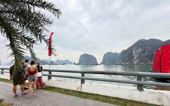 Cảnh tượng ngay lúc này trên vịnh Hạ Long: Sau gần 30 năm mới thấy lại, nhiều người không tin vào mắt mình