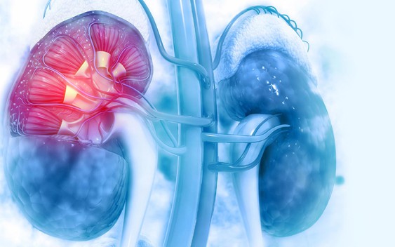 2 quả thận bị "bóp nghẹt", "xuống cấp" nhanh hơn chỉ vì 5 thói quen gặp ở nhiều người Việt