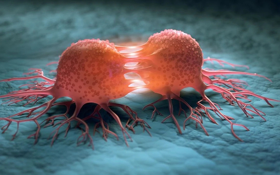 3 thói quen giúp "đẩy lùi" nguy cơ ung thư vùng miệng – hàm – mặt