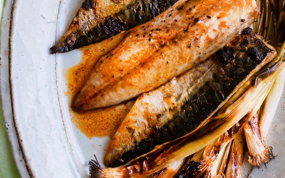 Kỳ lạ loại cá nhiều chất béo nhưng lại giúp giảm mỡ máu: Tiến sĩ Mỹ khen ngợi hết lời, Việt Nam có nhiều