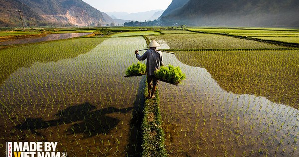 Nói "Việt Nam nuôi cả thế giới" không phải là cường điệu