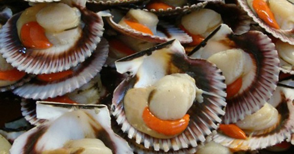 Seafood dishes abound in Vietnam to help develop the brain, balance blood sugar