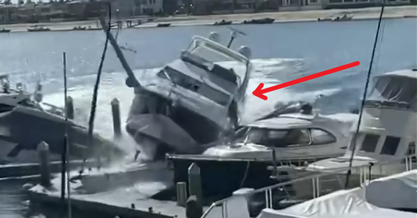 The yacht was stolen, the thief had no time to escape and had to pay the price