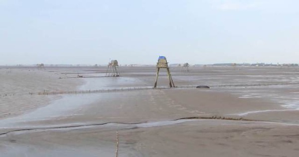 The man’s body was tied with his hands and tied to a rock in the shellfish farm