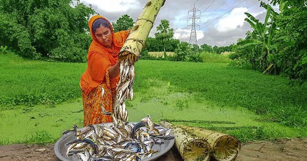 The woman wading through the pond brought this ‘banana tree’ ashore, the results were full of surprises!