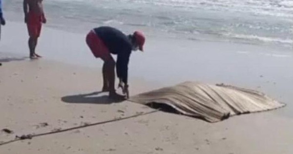 Found bound body, tied to a rock about 25kg in Hai Phong sea, suspected of murder