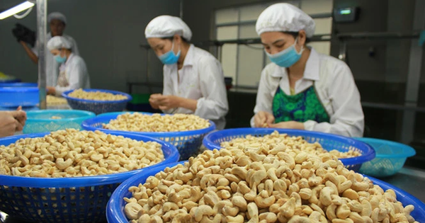 The Prime Minister issued an urgent directive on the biggest fraud case in the history of the cashew industry