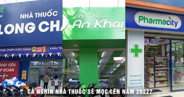 Long Chau, An Khang and Pharmacity all want to expand massively, occupy every inch of land close to customers’ armpits.