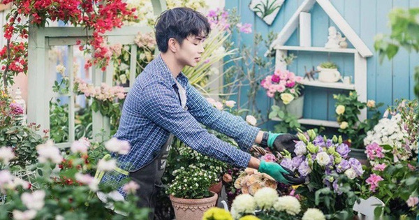 The flower garden on the 32nd floor of the young man makes the sisters swoon because of his top-notch fertilizing skills