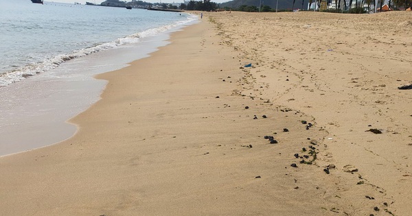 Detecting oil clumps washed up on the beach in Nha Trang