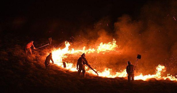 Burning fireworks to ‘flash’ his girlfriend, man goes to jail for burning more than 200 hectares of land
