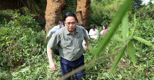 The Prime Minister inspects the planning of a 655 billion dong road connecting Binh Phuoc with the Southeast