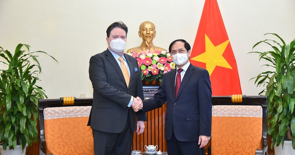 Promoting cooperation in all areas of the Vietnam Comprehensive Partnership