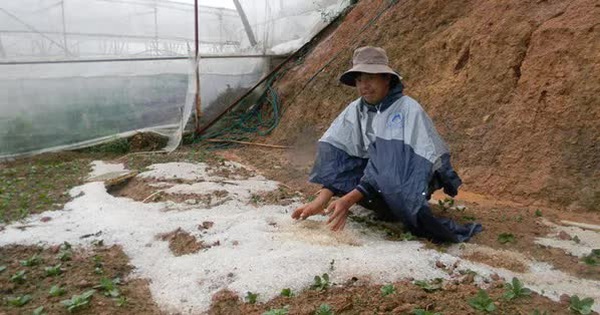 Da Lat appeared unprecedented heavy hail