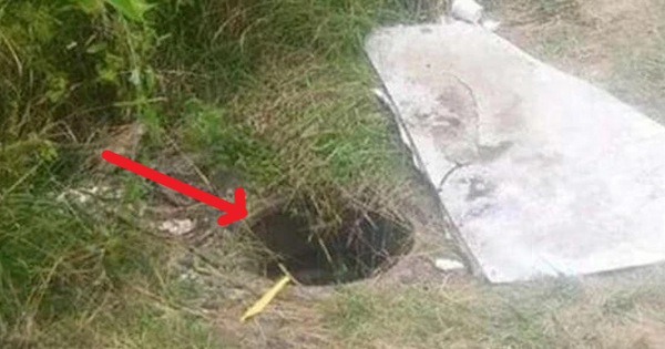 The man opened the old manhole cover and saw eyes looking at him, both scared and heartbroken