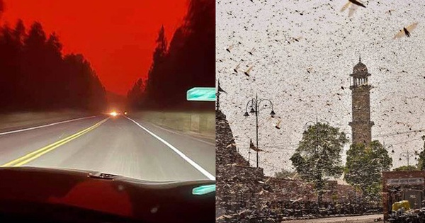 18 images that show how climate change is having negative effects on the Earth