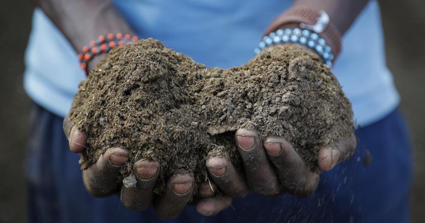 How serious is the global fertilizer crisis?