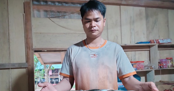 Hunting through the night a unique specialty fish in the highlands of Quang Tri province