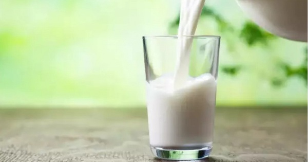 7 foods that provide more calcium than milk