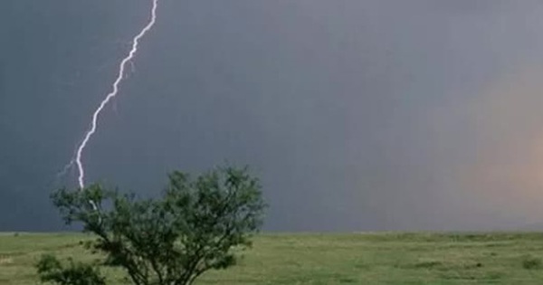 5th grade male student in Hai Duong was killed by lightning while looking for a kite