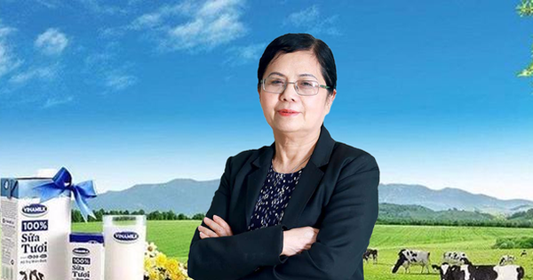 Ms. Le Thi Bang Tam stopped being the President of Vinamilk