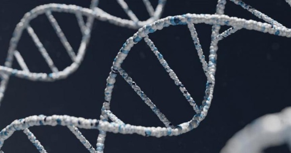 Scientists announce the first complete human genome