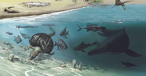 The 20m-long sea monster died on the high mountain, shocking the archaeological team