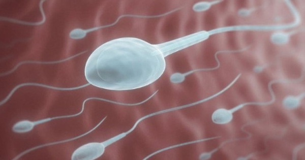How long can sperm survive after ejaculation?