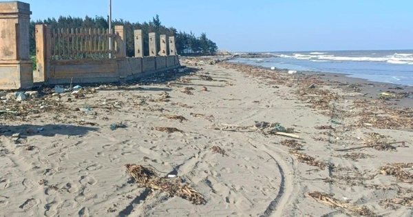 The body of a headless man was discovered on Con Vanh beach