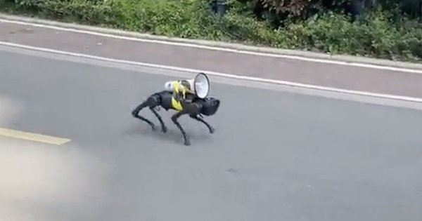 Motor dog carrying speakers roams the streets of Shanghai, ‘barking’ reminding people to stay at home