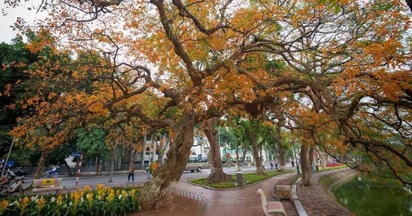 Weather forecast for the next 10 days across the country from April 5-15: Hot sunny day