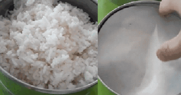 Opening the pair of rice cookers his mother cooked, the boy was surprised to see the side dish inside