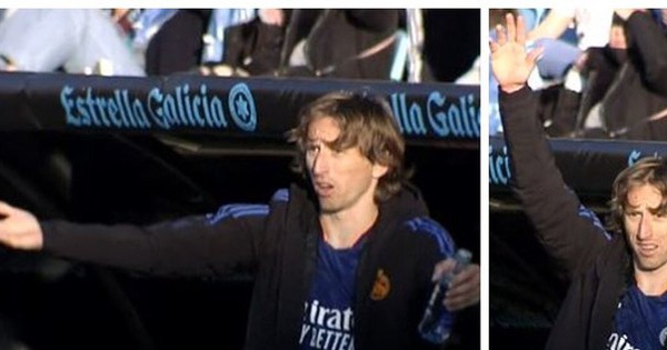 Modric turned on the brute mode, calling his teammates “idiots”