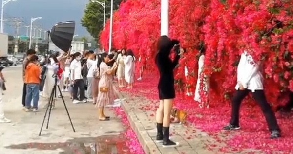 Seamless “virtual living” confetti is hot right next to Hanoi