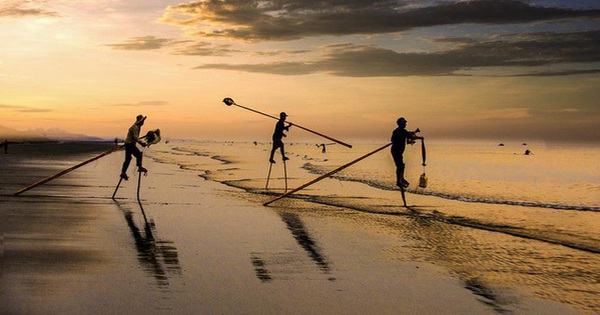 Nam Dinh stilts