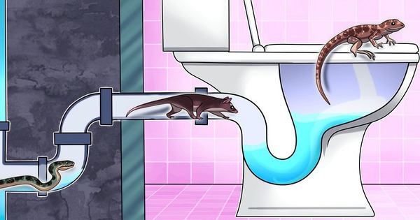 Creatures that can break into the toilet and make you “cry out”