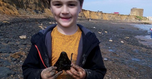 Walking on the beach, a 6-year-old boy discovered the teeth of an ancient shark that once ruled the sea