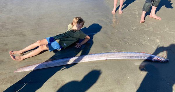 3.6 meter long ‘monster’ appeared on the beach, is it a bad omen?