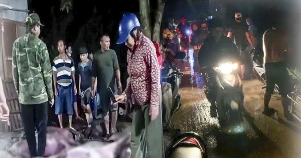 thumbnail - Gia chủ xúc động nhìn cả trăm người xếp hàng thâu đêm 'giải cứu' 229 con lợn bị sét đánh