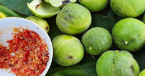 The fruit that was once full of no one picked, is now a delicious and strange specialty in the city, 70,000 VND/kg